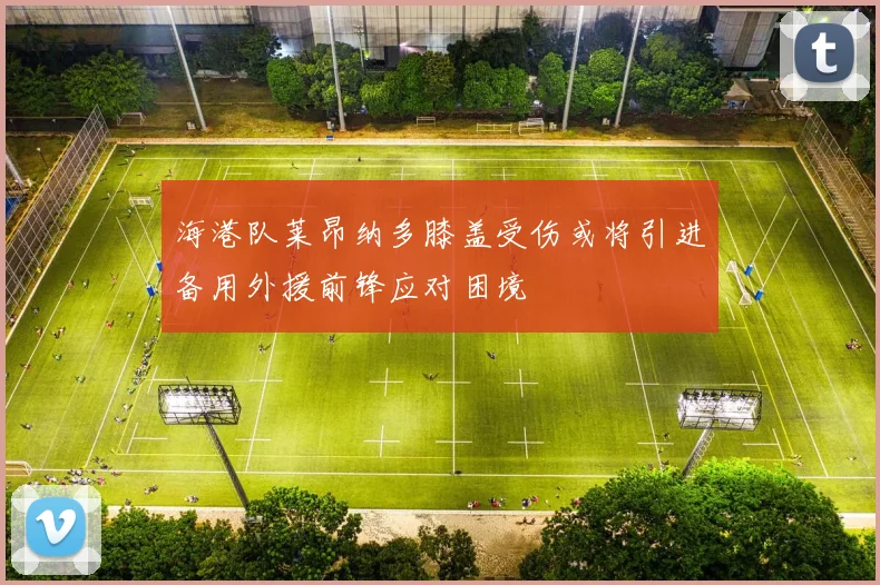 海港队莱昂纳多膝盖受伤或将引进备用外援前锋应对困境